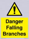 danger-falling-branches~